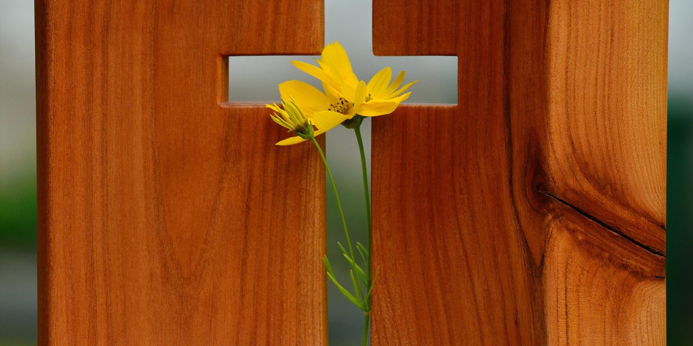 cross-1517094_by_congerdesign_cc0-gemeinfrei_pixabay_pfarrbriefservice