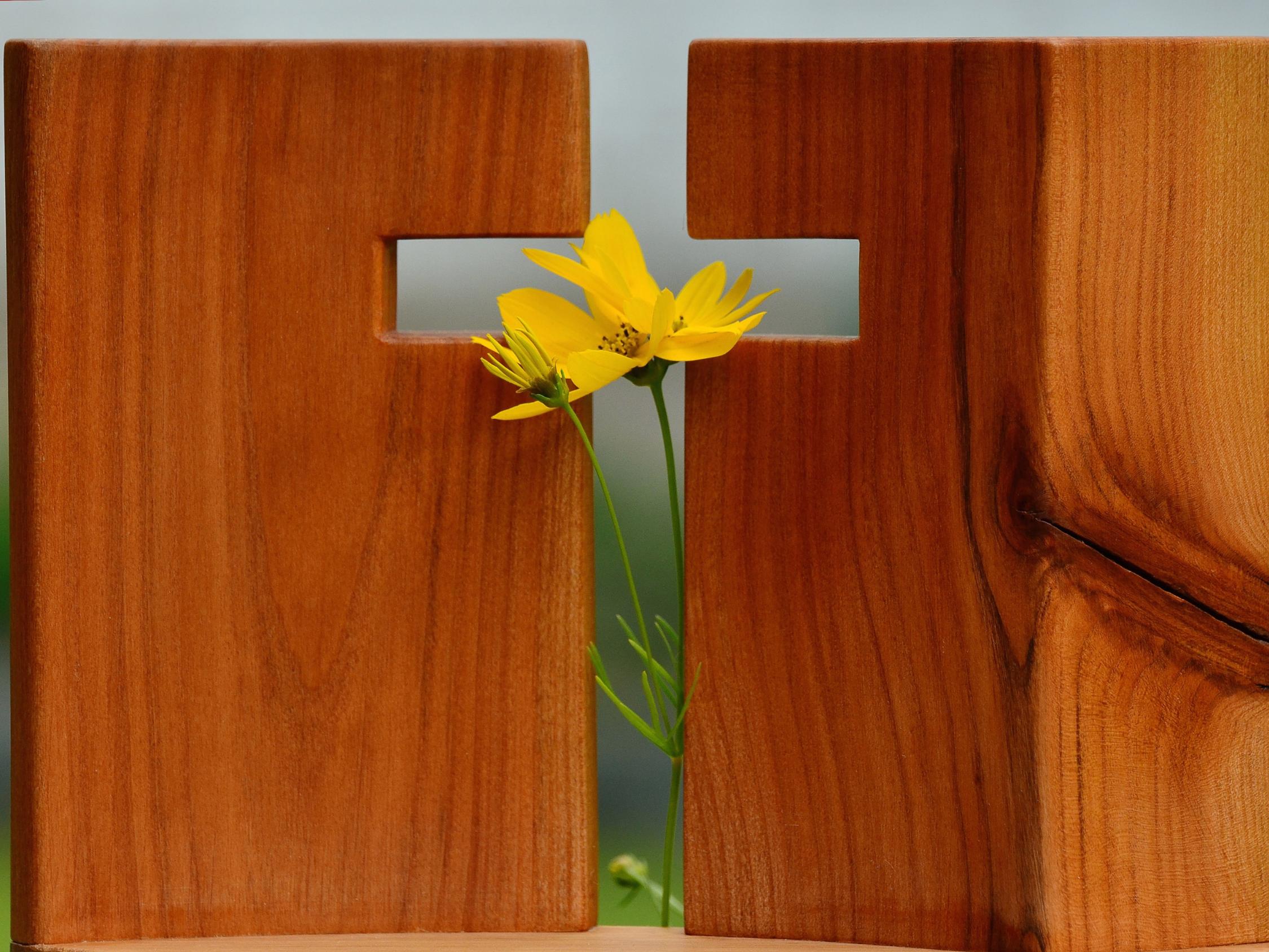 cross-1517094_by_congerdesign_cc0-gemeinfrei_pixabay_pfarrbriefservice