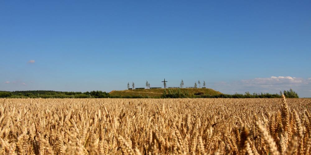 Marienfeld Papsthuegel